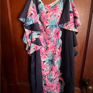 Lilly Pulitzer Floral Pink and Blue Women's Dress